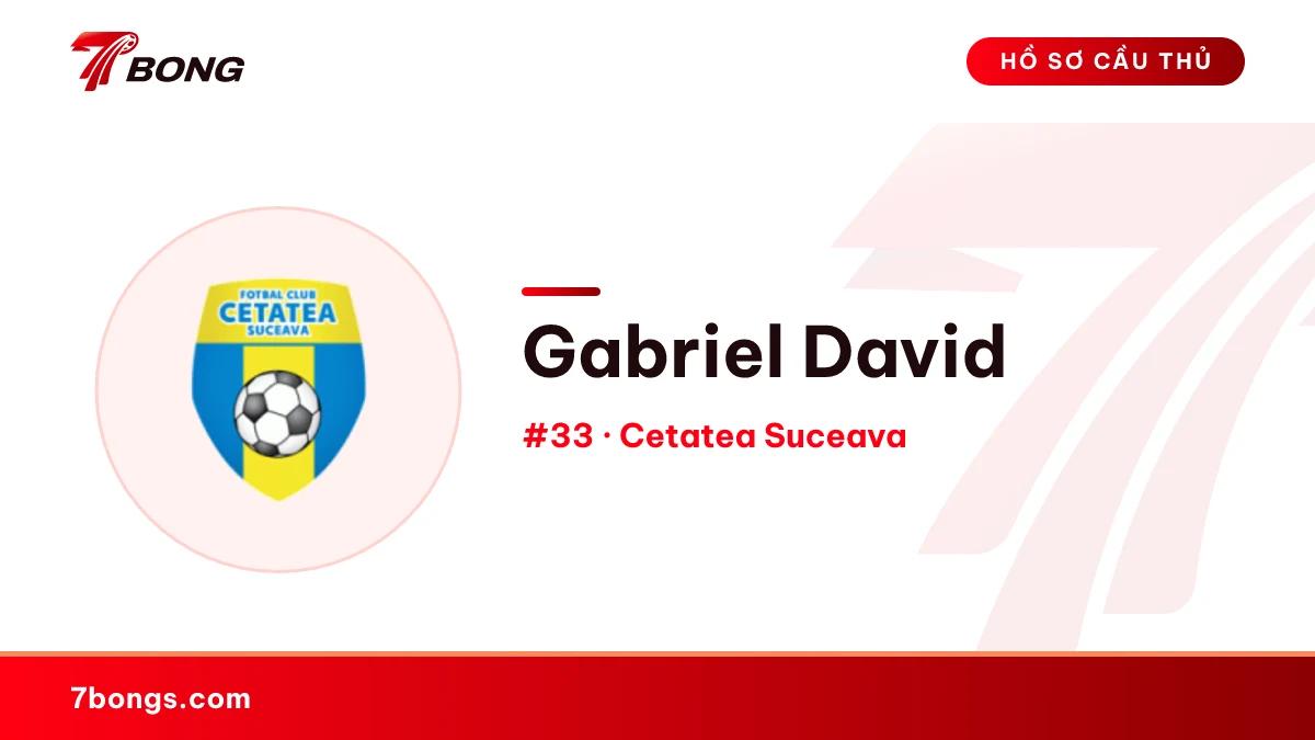 Gabriel David — Cetatea Suceava