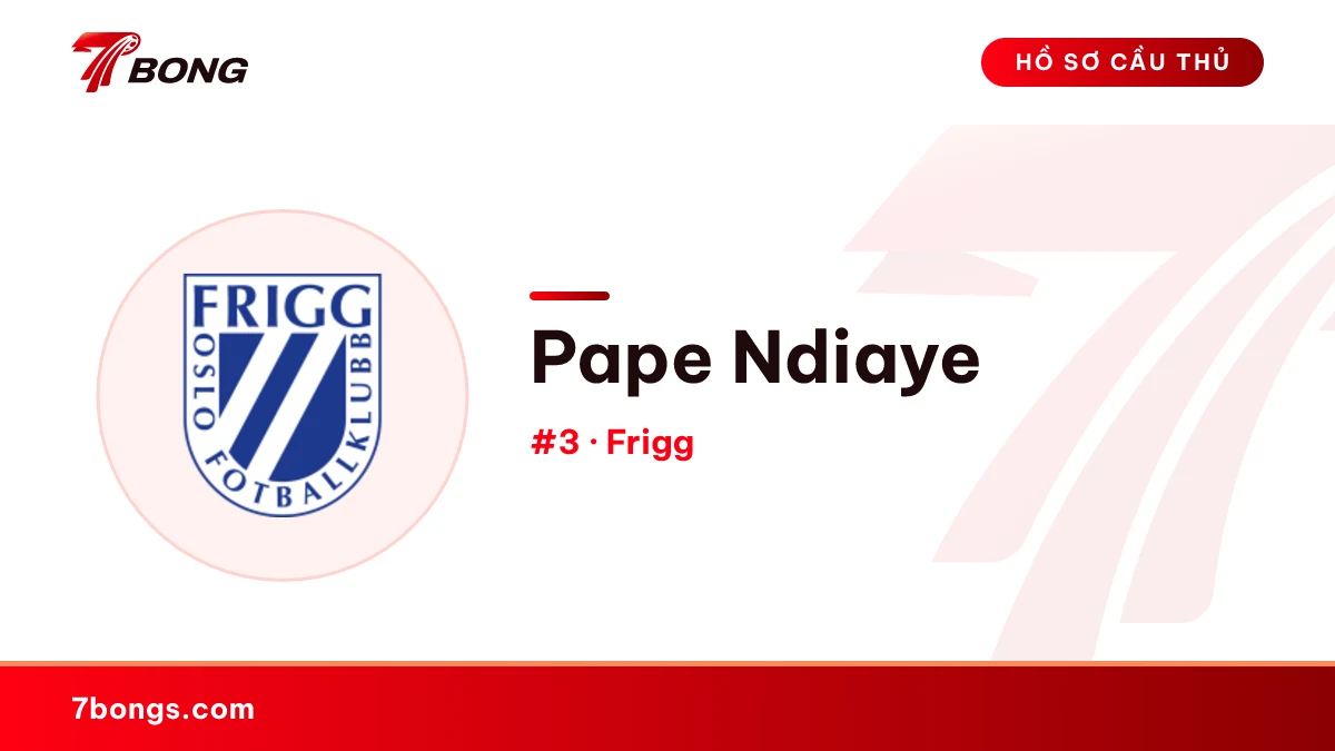 Pape Ndiaye — Frigg