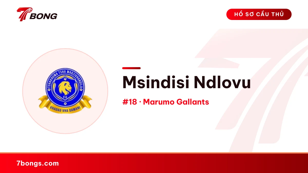 Msindisi Ndlovu — Marumo Gallants