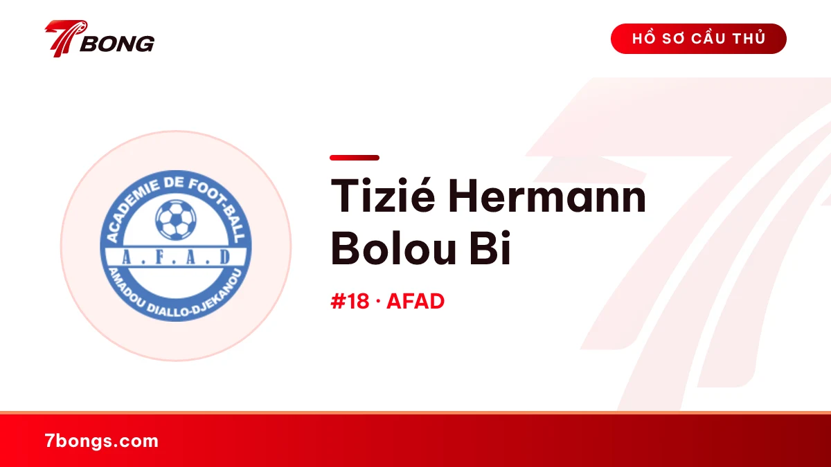 Tizié Hermann Bolou Bi — AFAD
