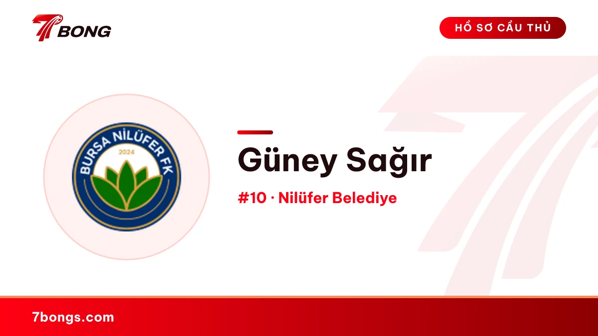 Güney Sağır — Nilüfer Belediye