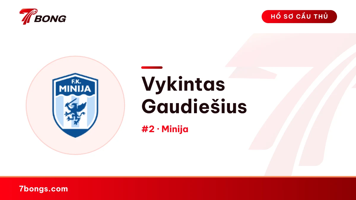 Vykintas Gaudiešius — Minija