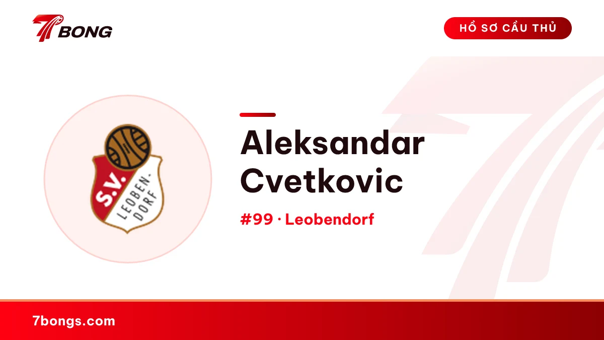 Aleksandar Cvetkovic — Leobendorf