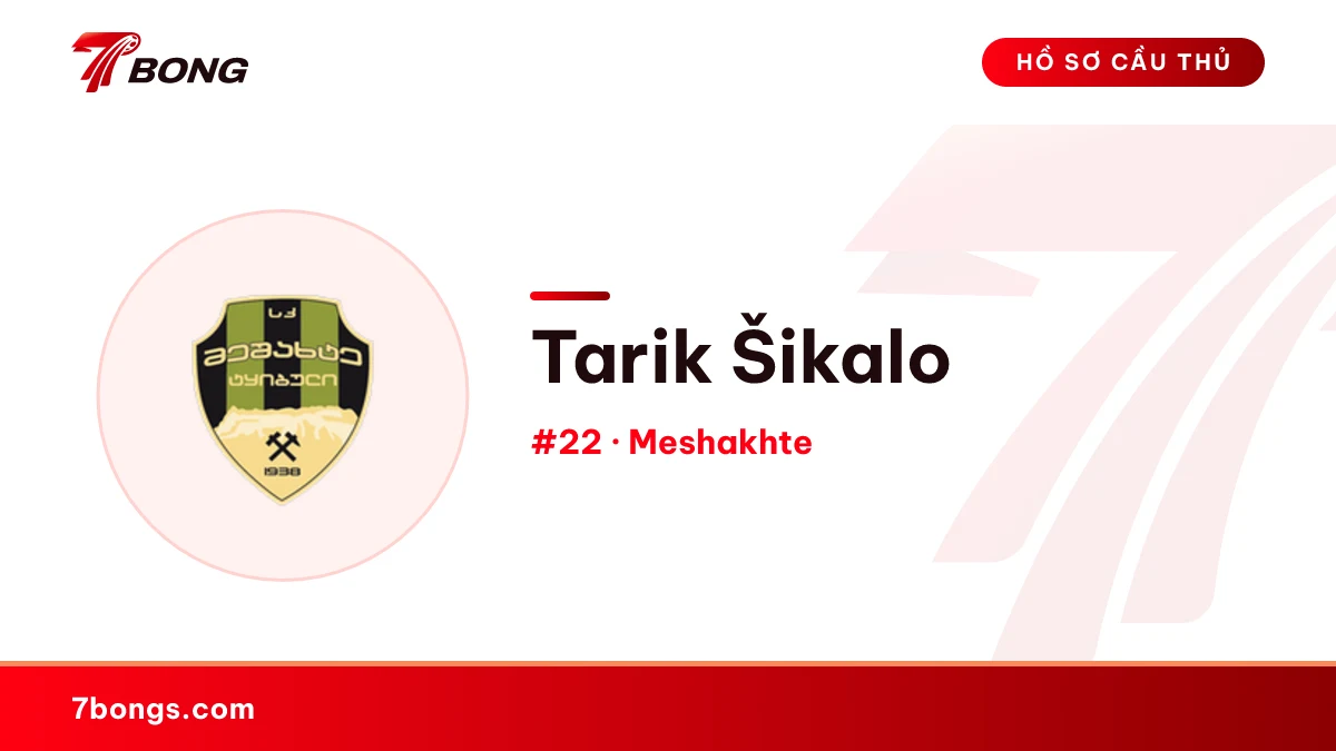 Tarik Šikalo — Meshakhte
