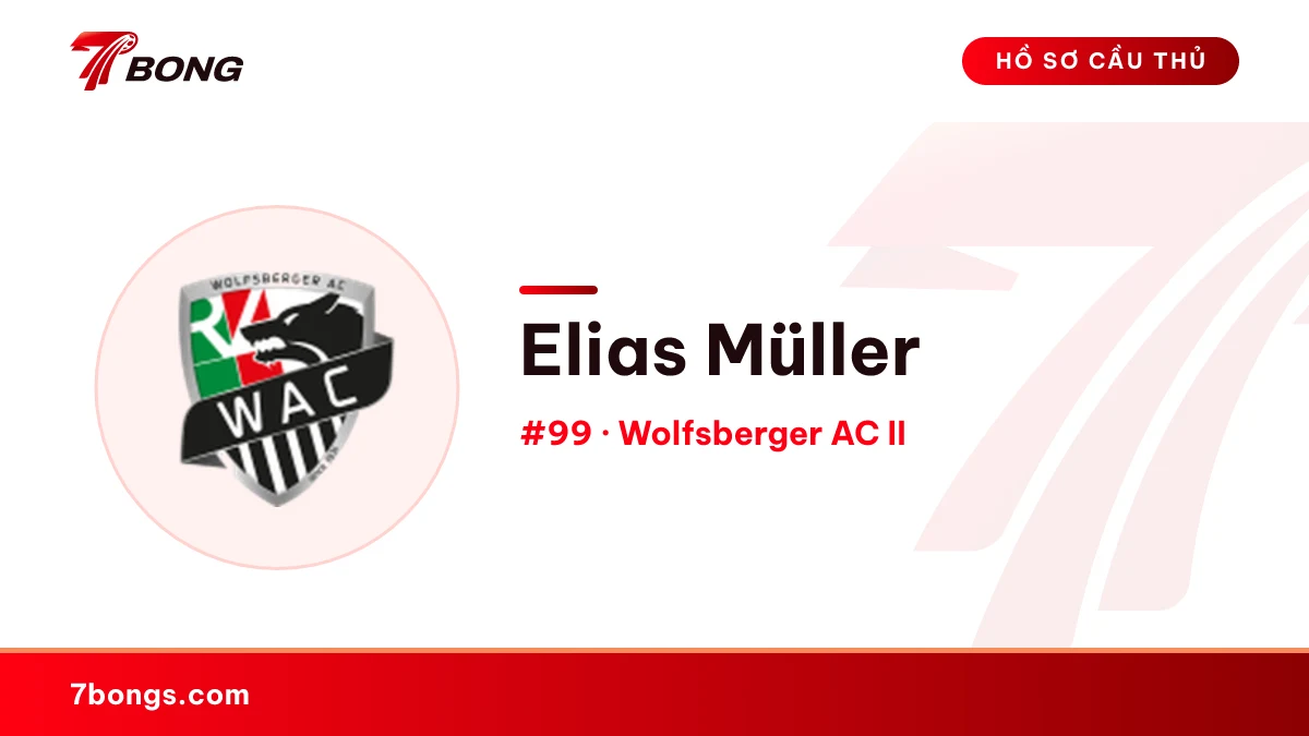 Elias Müller — Wolfsberger AC II