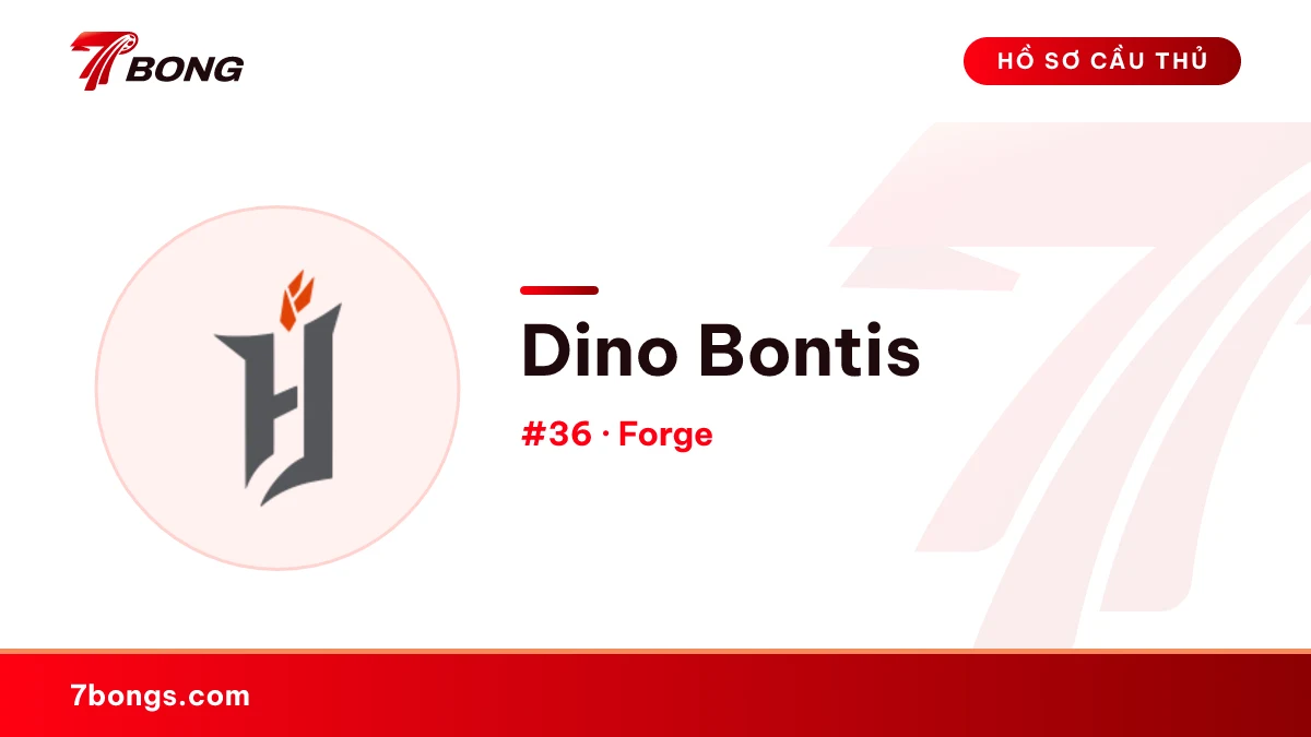 Dino Bontis — Forge