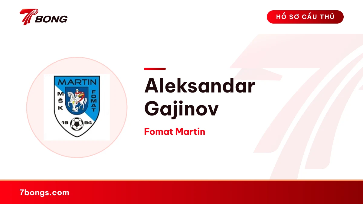 Aleksandar Gajinov — Fomat Martin