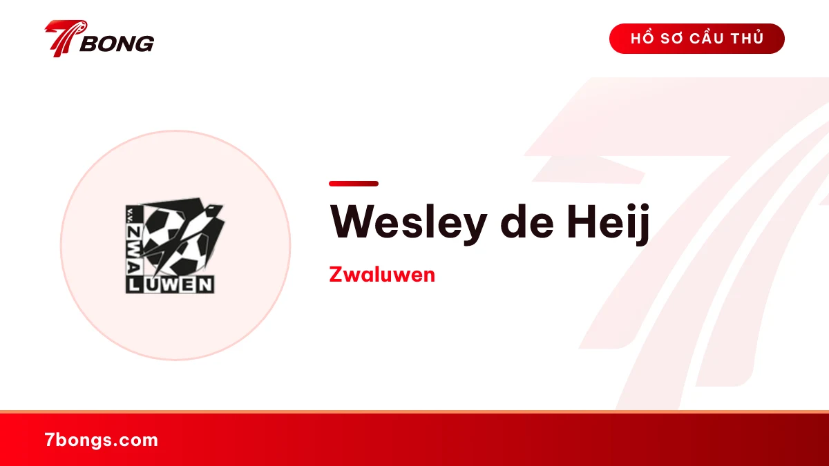 Wesley de Heij — Zwaluwen