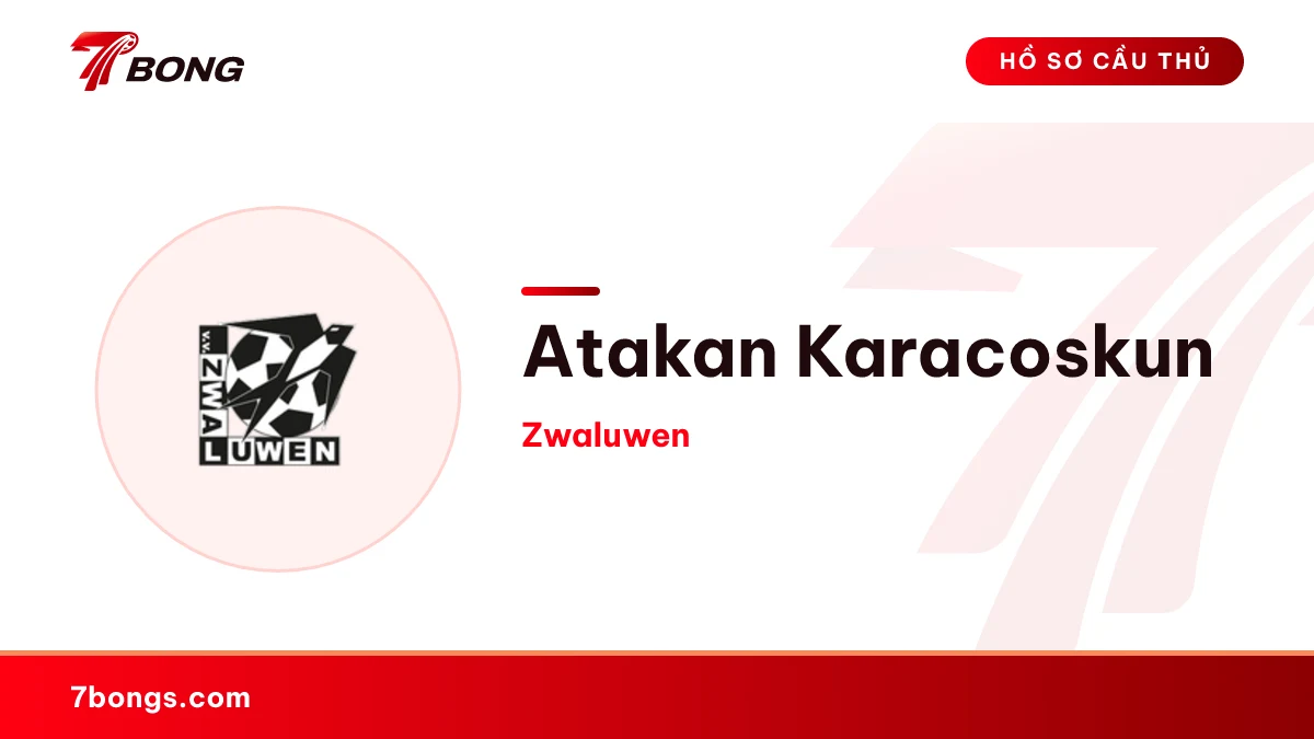 Atakan Karacoskun — Zwaluwen