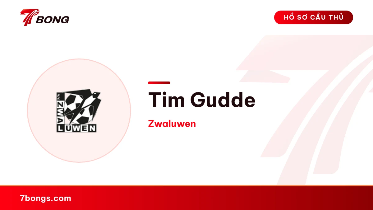 Tim Gudde — Zwaluwen