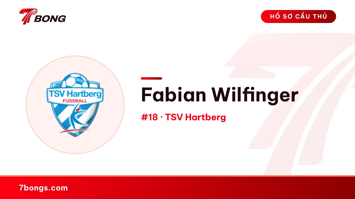 Fabian Wilfinger — TSV Hartberg