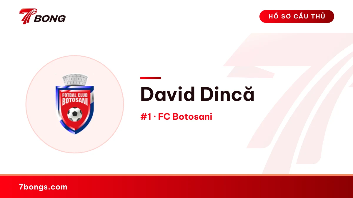 David Dincă — FC Botosani