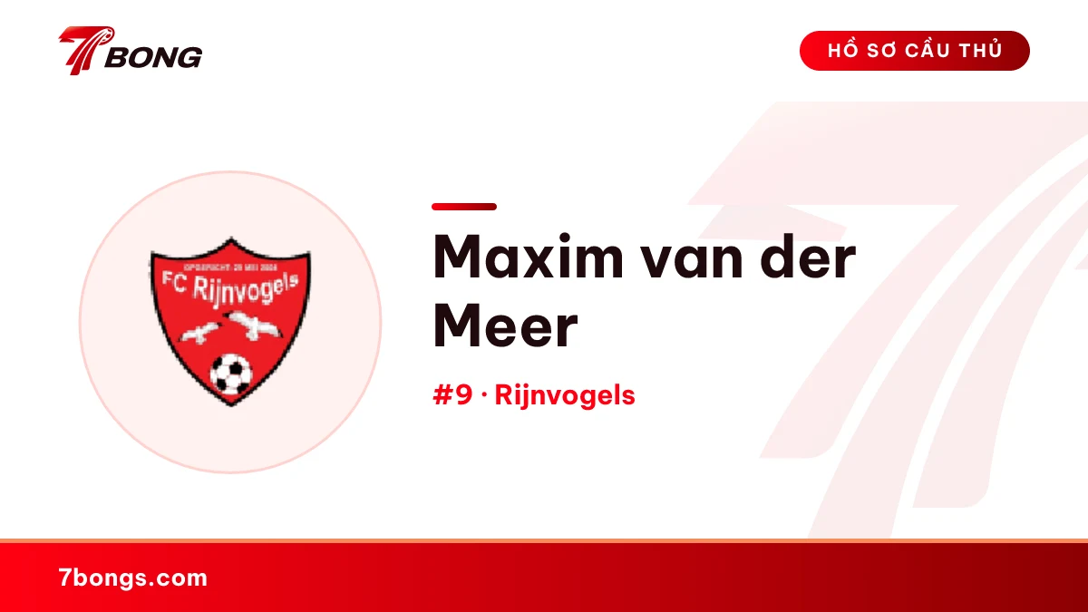 Maxim van der Meer — Rijnvogels