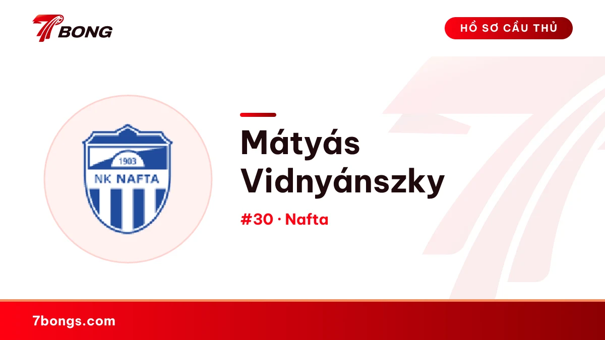 Mátyás Vidnyánszky — Nafta