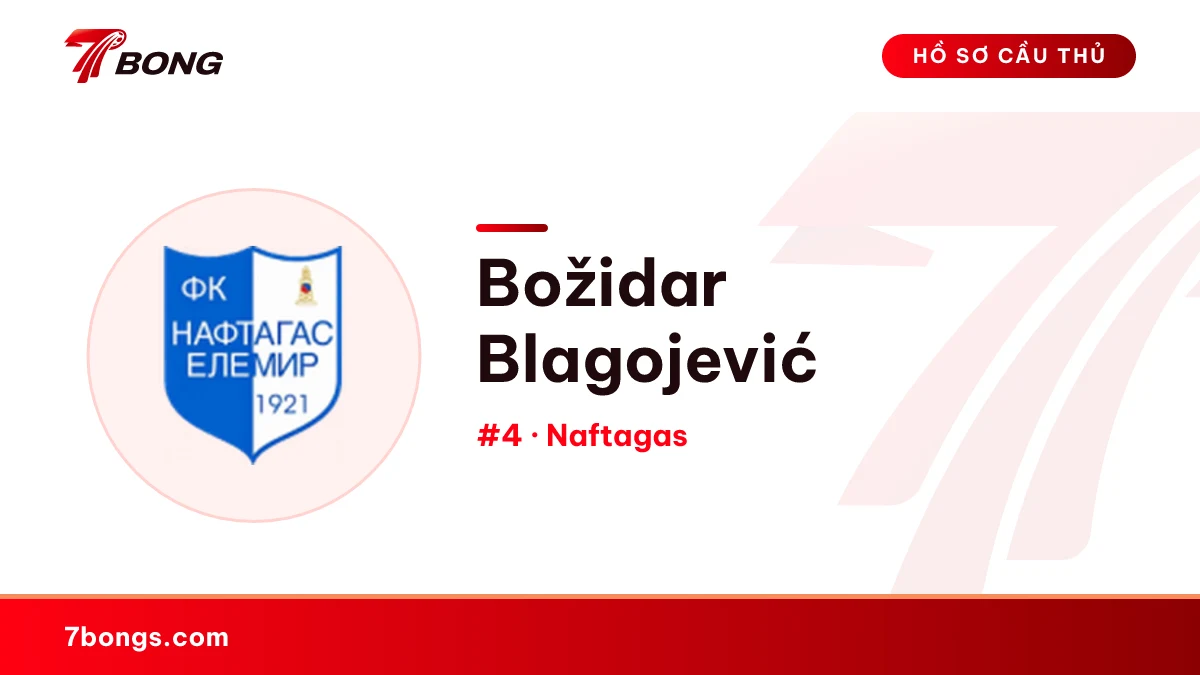 Božidar Blagojević — Naftagas