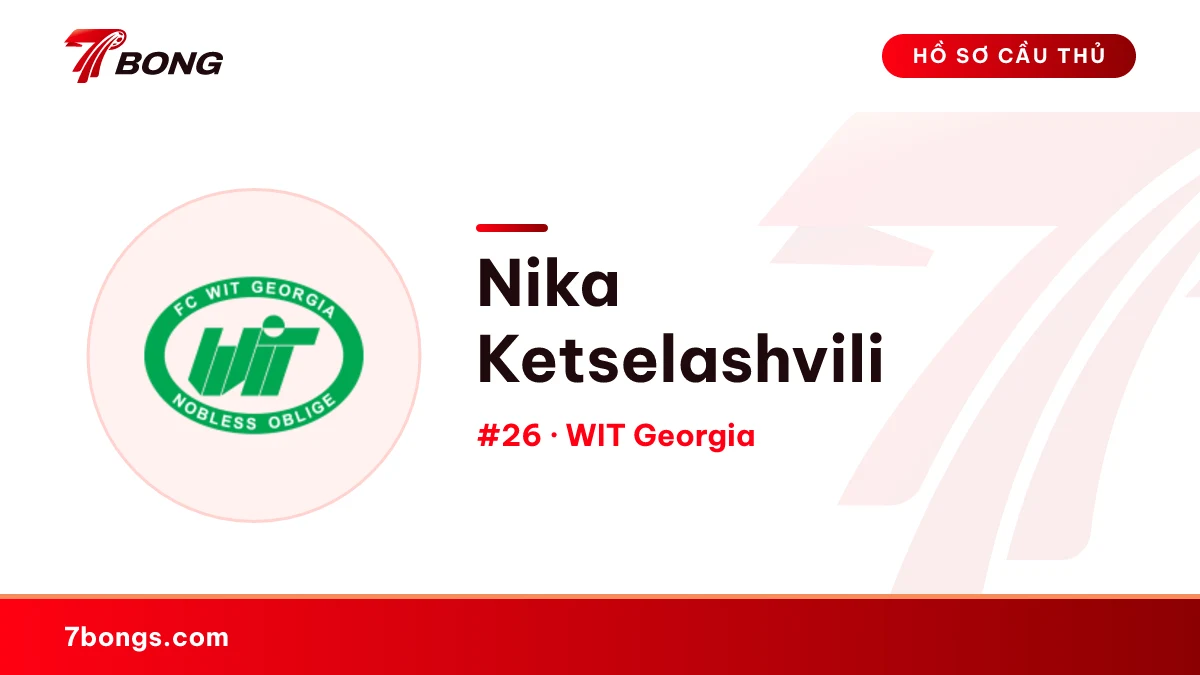 Nika Ketselashvili — WIT Georgia