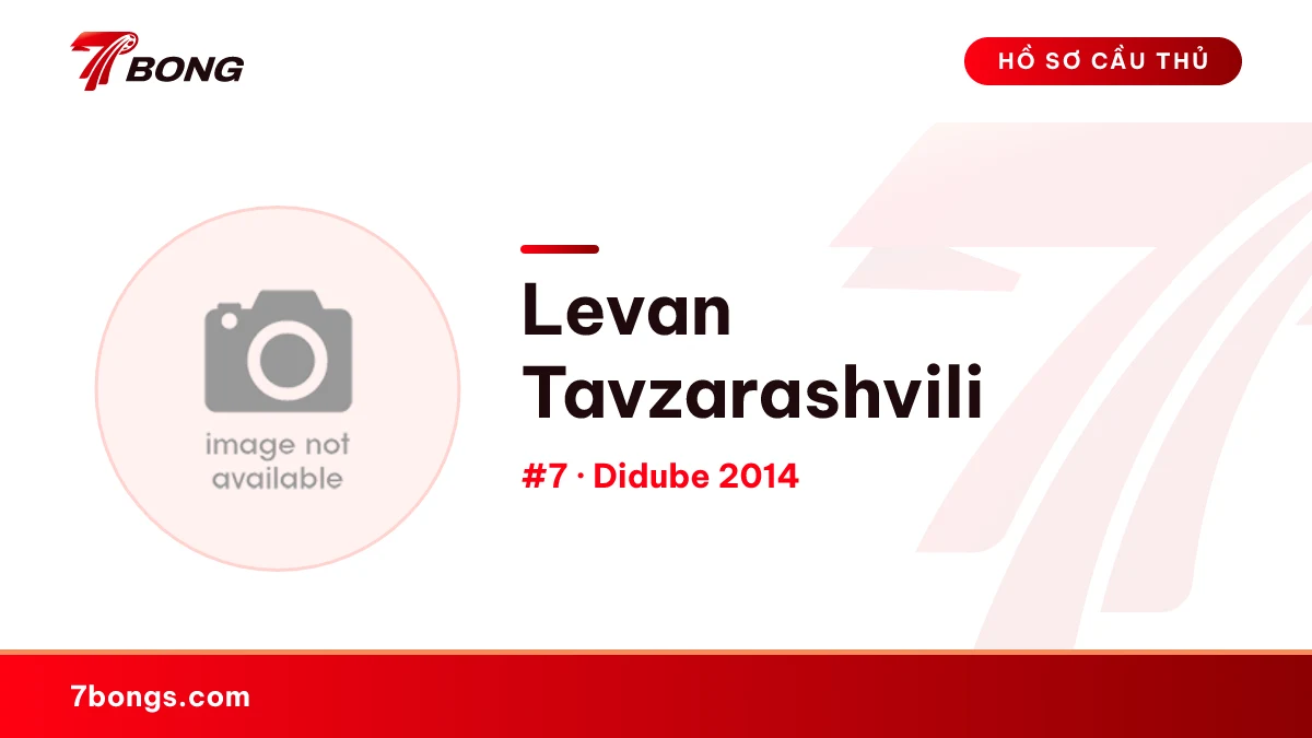 Levan Tavzarashvili — Didube 2014