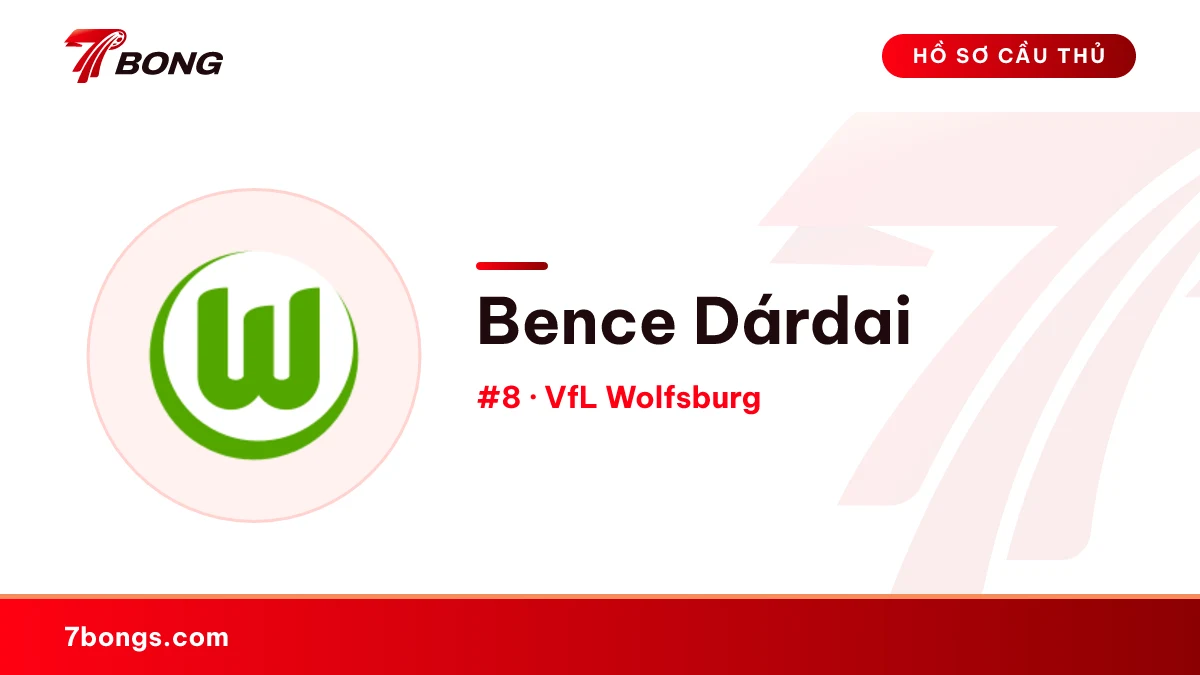 Bence Dárdai — VfL Wolfsburg