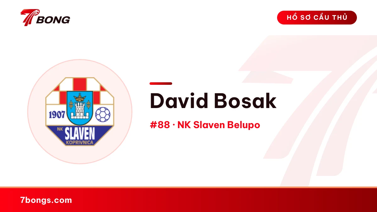 David Bosak — NK Slaven Belupo