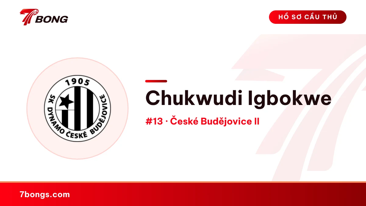 Chukwudi Igbokwe — České Budějovice II