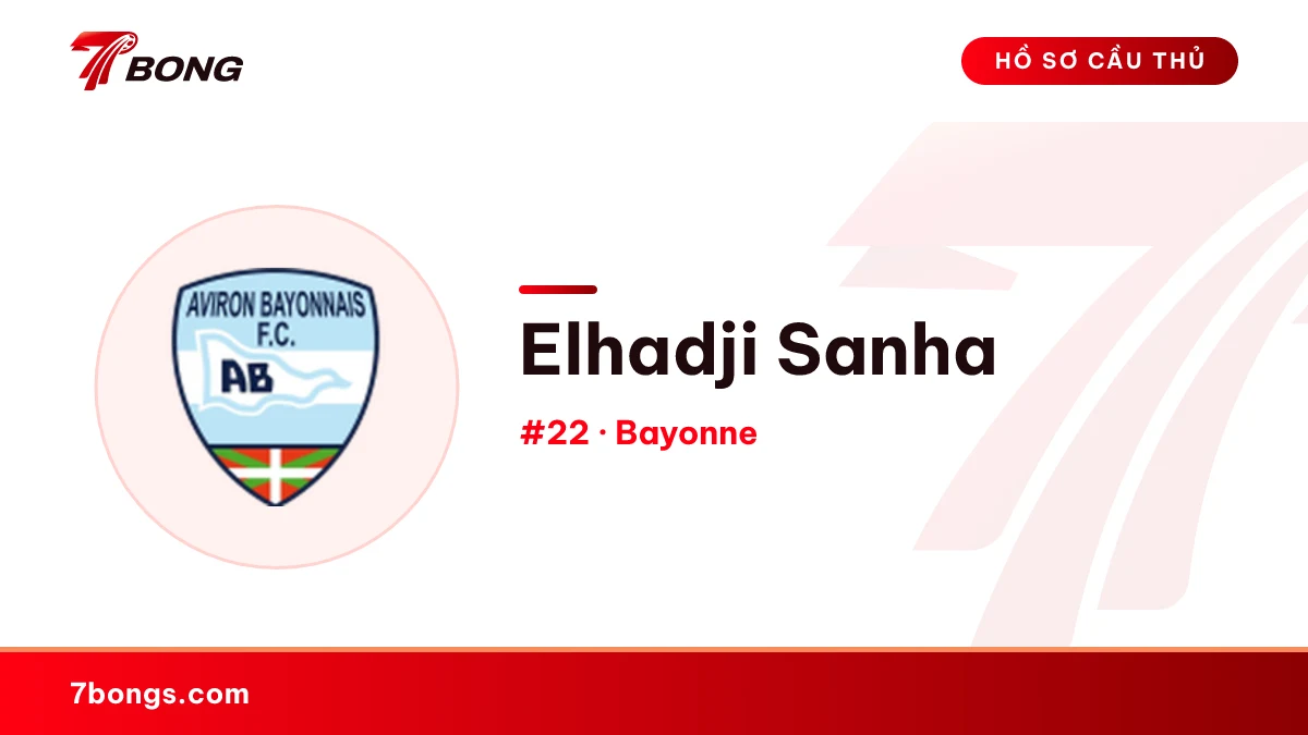 Elhadji Sanha — Bayonne