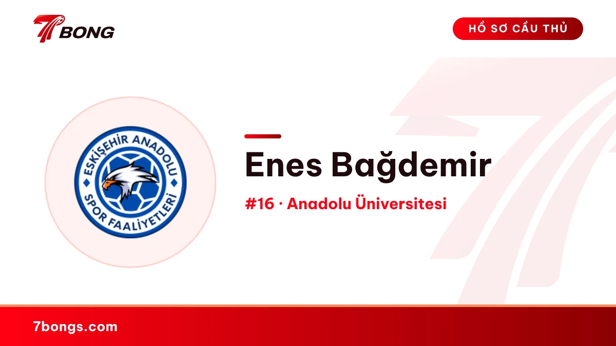 Enes Bağdemir — Anadolu Üniversitesi
