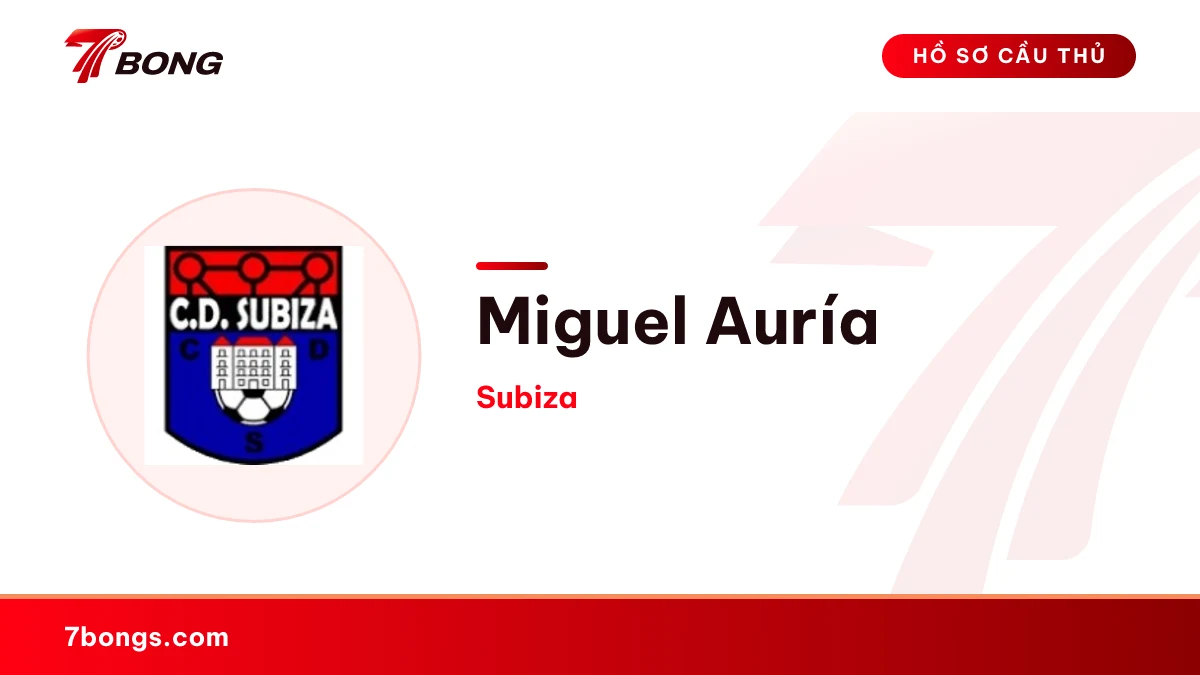 Miguel Auría — Subiza