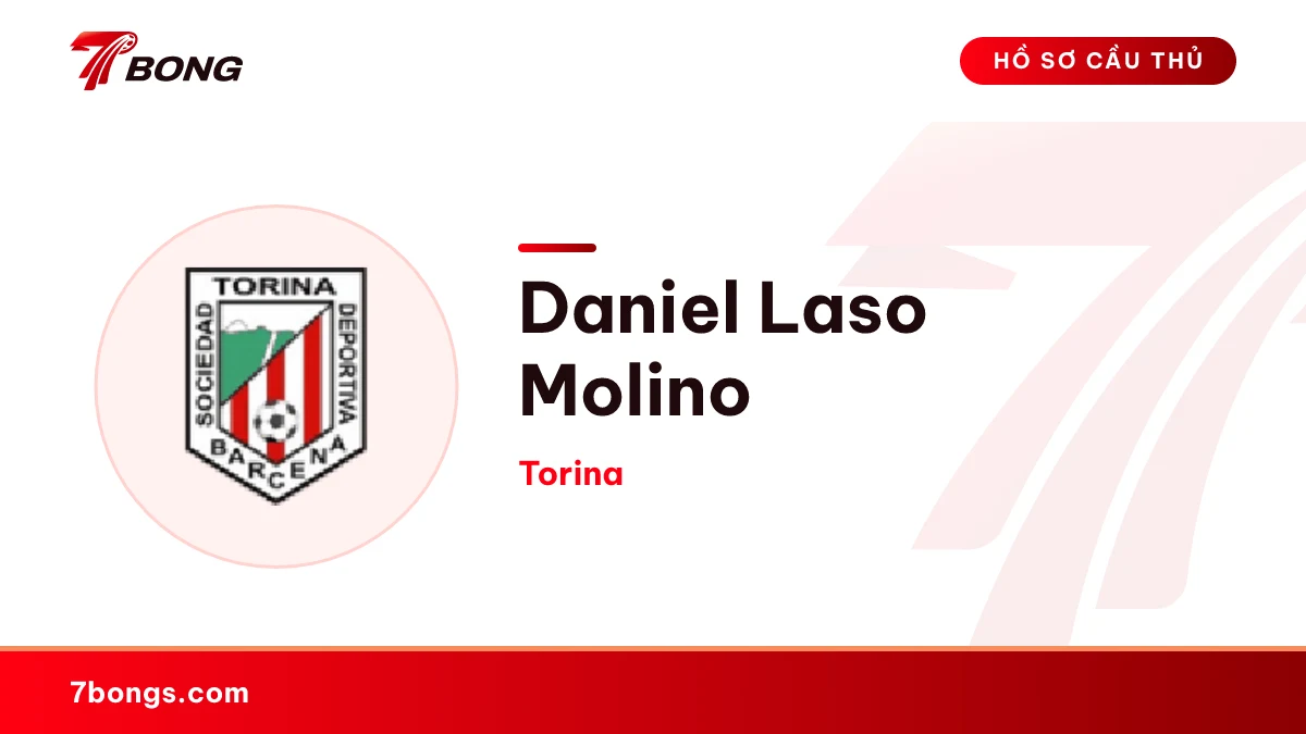 Daniel Laso Molino — Torina