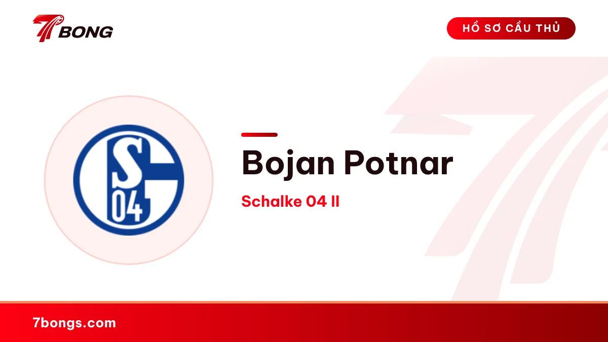 Bojan Potnar — Schalke 04 II