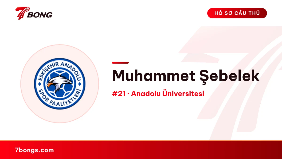 Muhammet Şebelek — Anadolu Üniversitesi