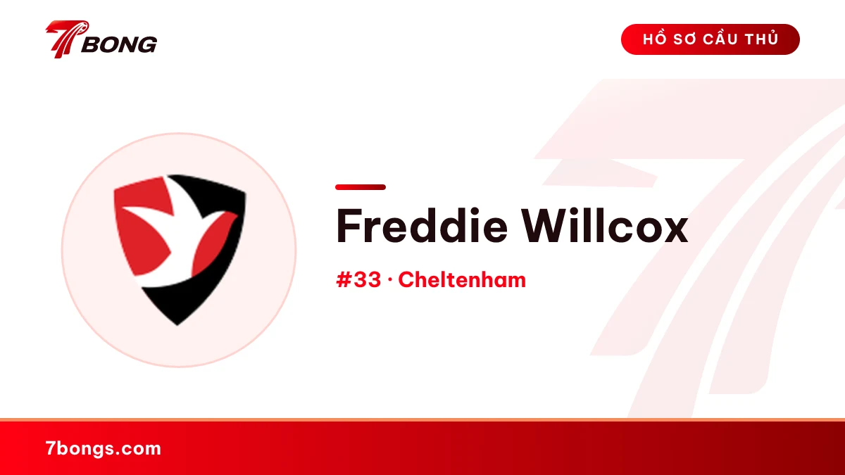 Freddie Willcox — Cheltenham