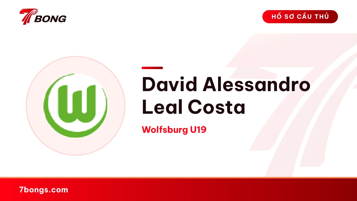 David Alessandro Leal Costa — Wolfsburg U19