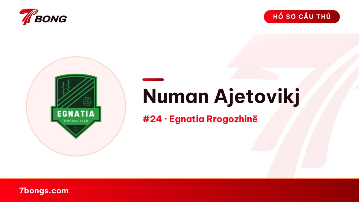 Numan Ajetovikj — Egnatia Rrogozhinë