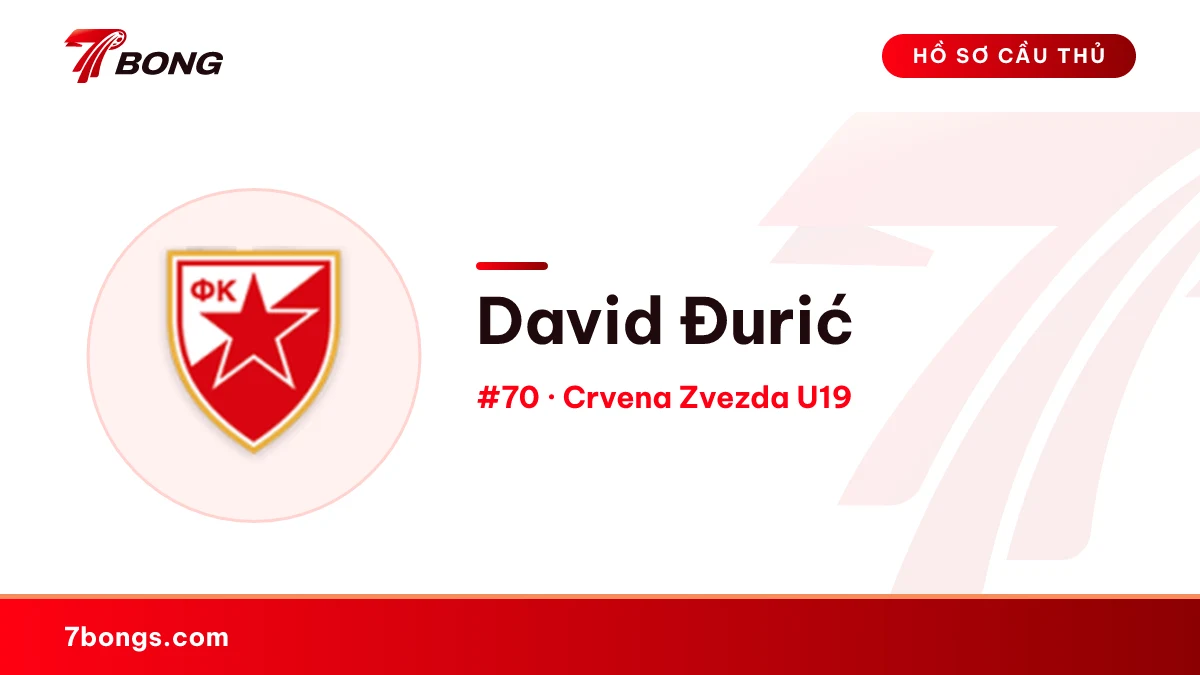 David Đurić — Crvena Zvezda U19