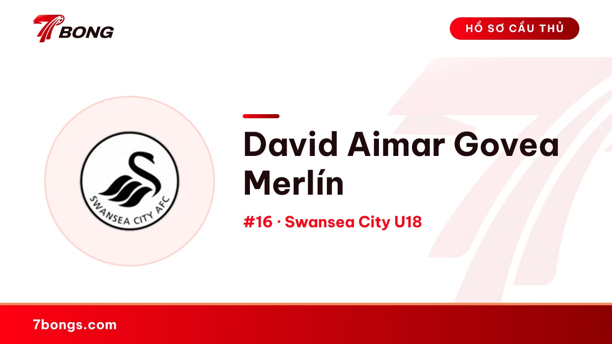 David Aimar Govea Merlín — Swansea City U18