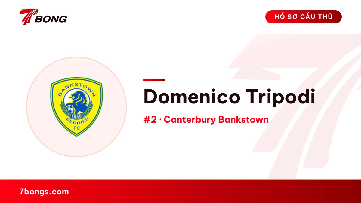 Domenico Tripodi — Canterbury Bankstown