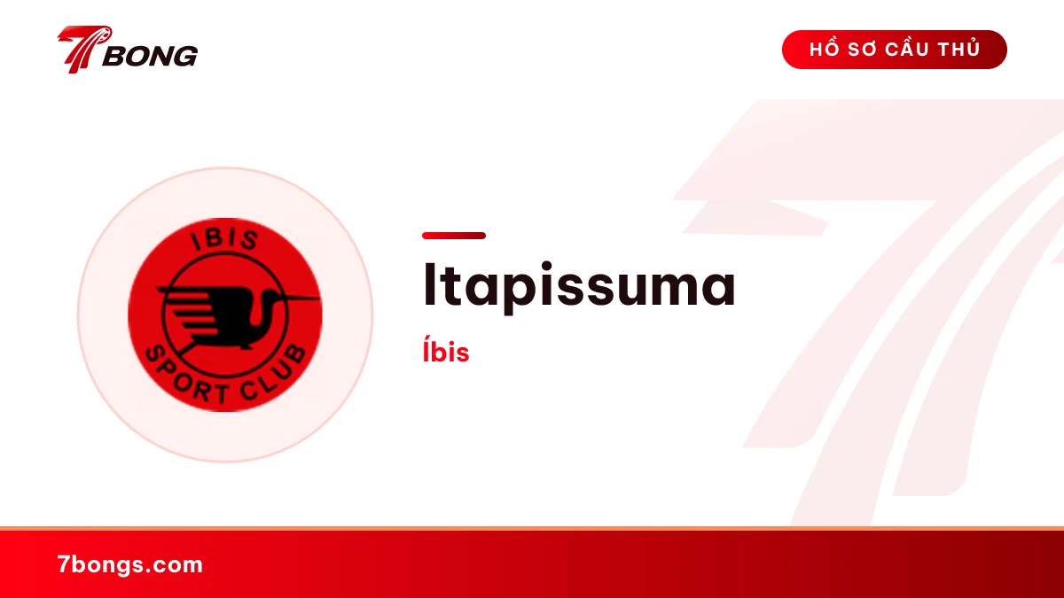 Itapissuma — Íbis