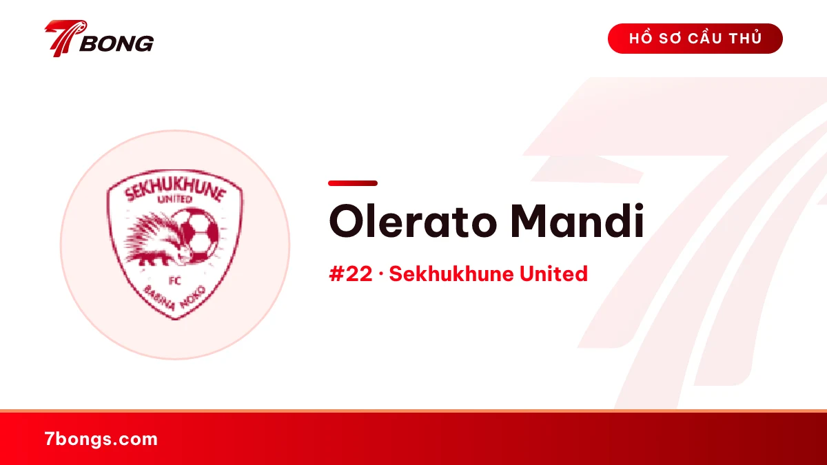 Olerato Mandi — Sekhukhune United