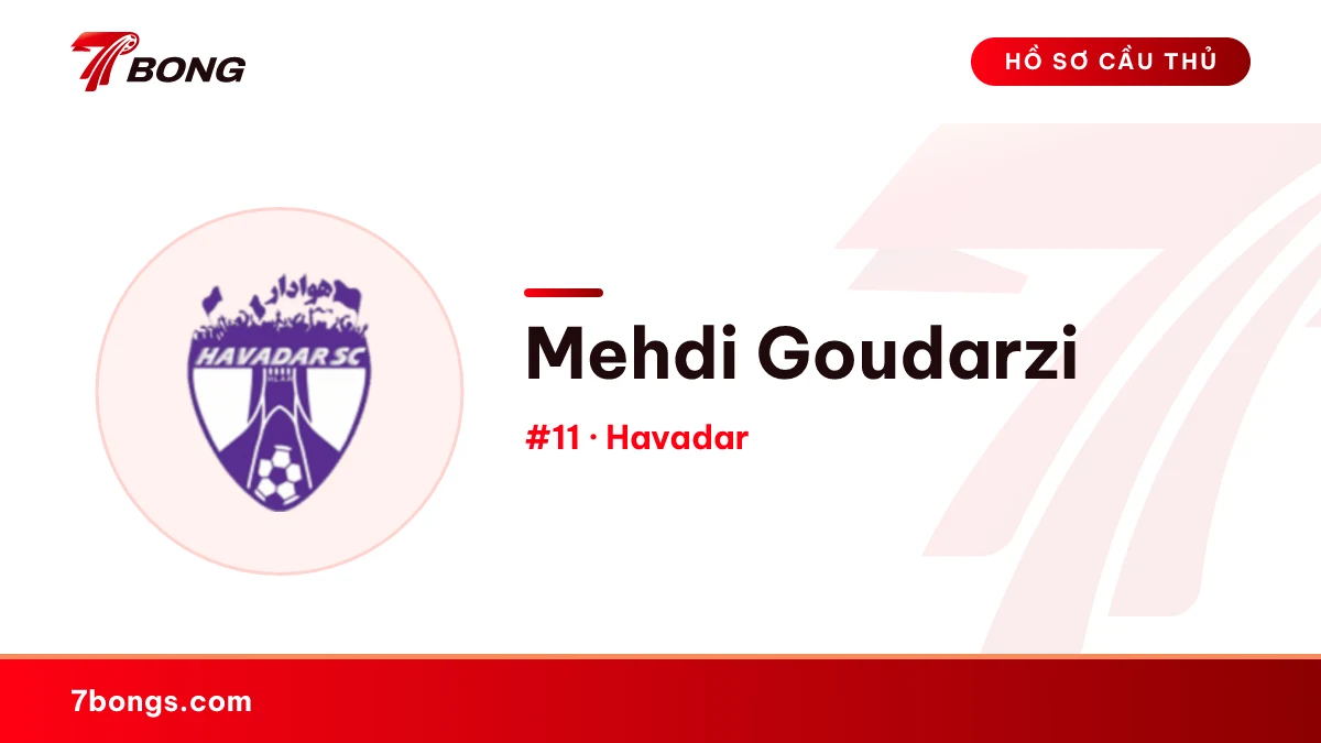 Mehdi Goudarzi — Havadar