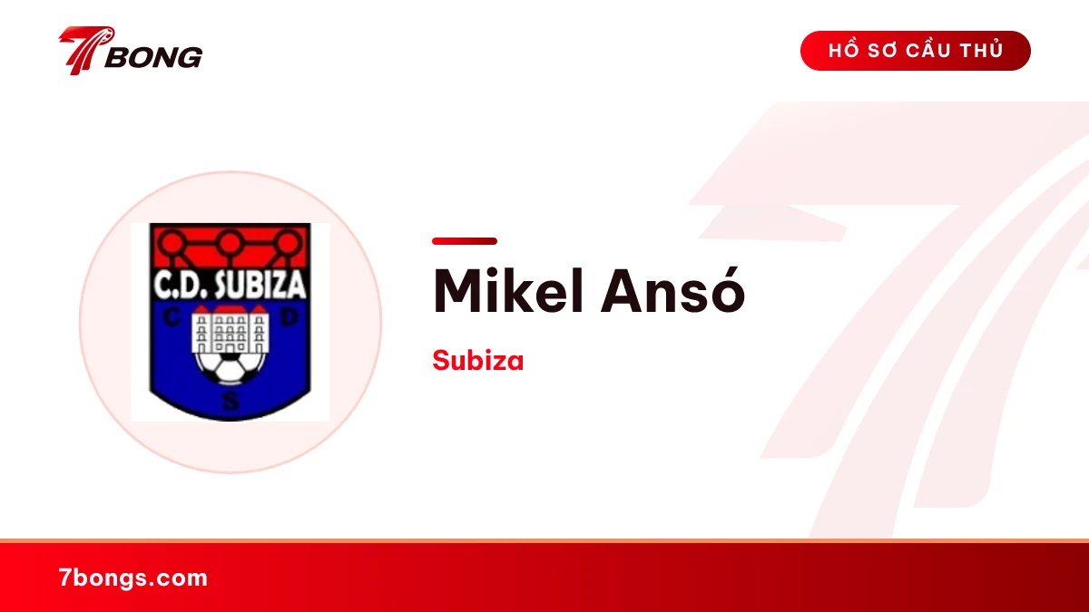 Mikel Ansó — Subiza