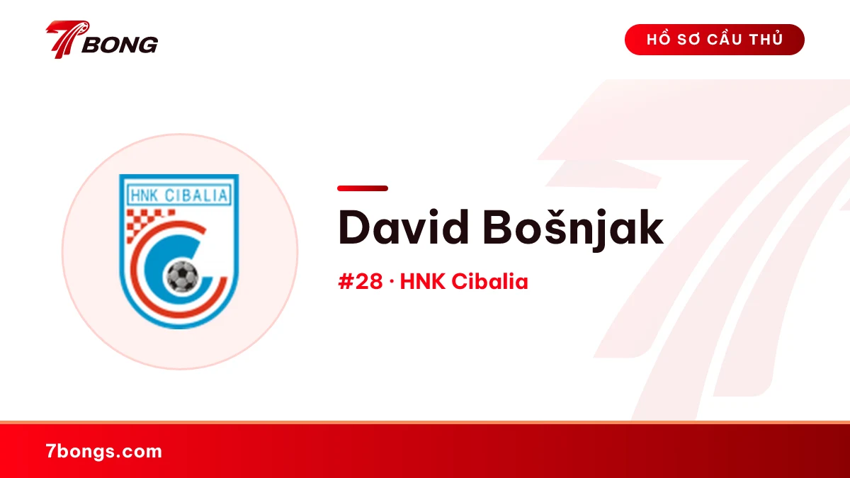 David Bošnjak — HNK Cibalia