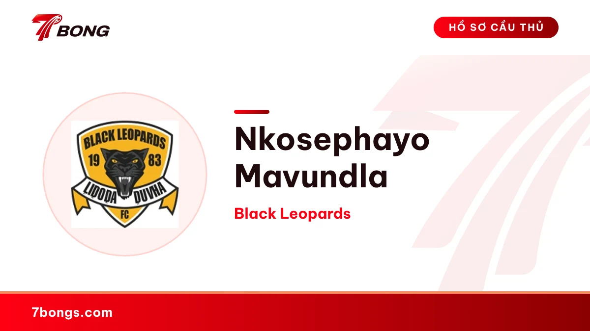 Nkosephayo Mavundla — Black Leopards