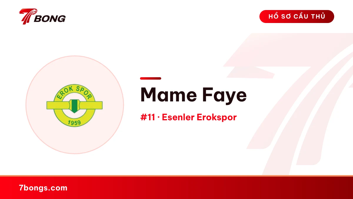 Mame Faye — Esenler Erokspor