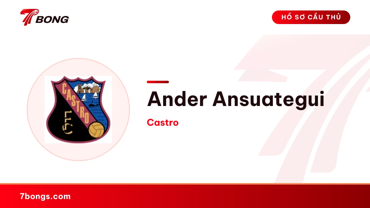 Ander Ansuategui — Castro