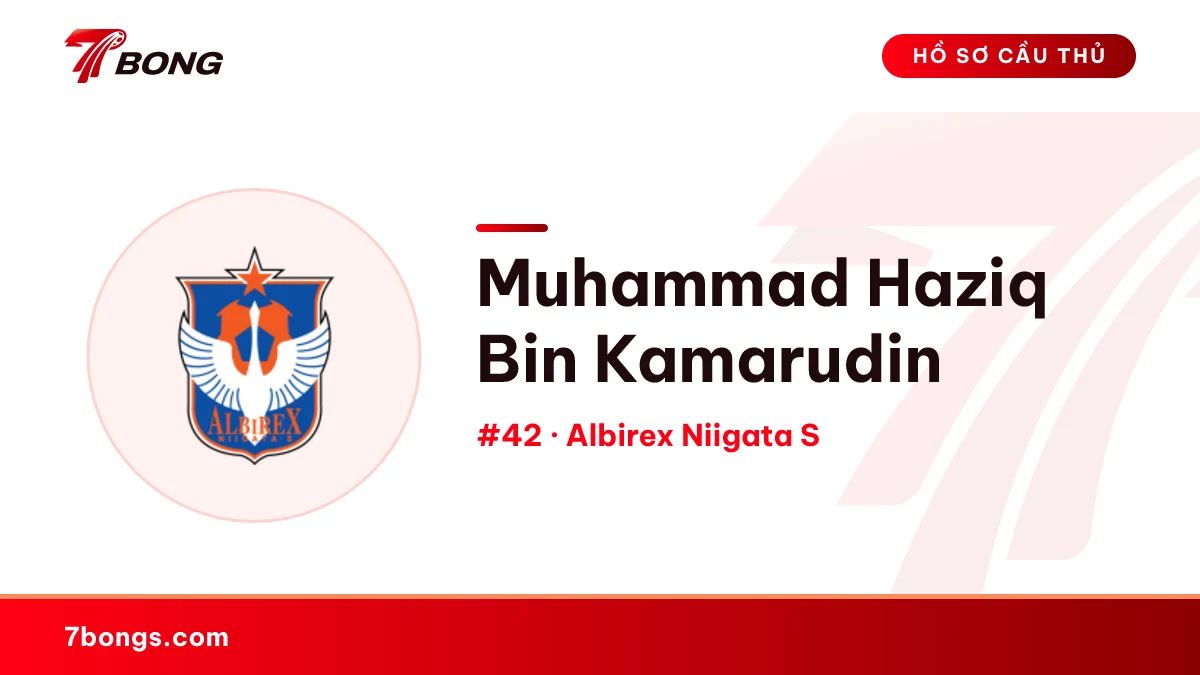 Muhammad Haziq Bin Kamarudin — Albirex Niigata S