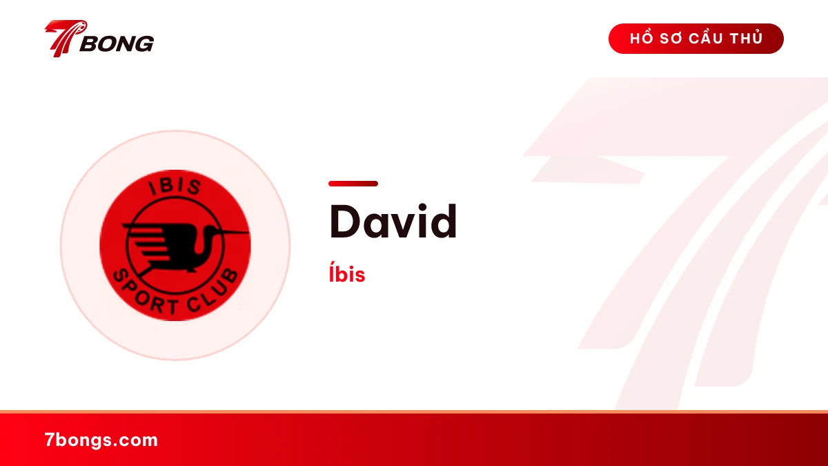 David — Íbis