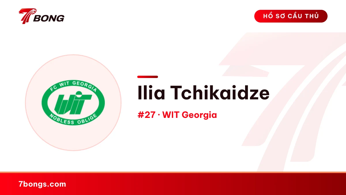 Ilia Tchikaidze — WIT Georgia