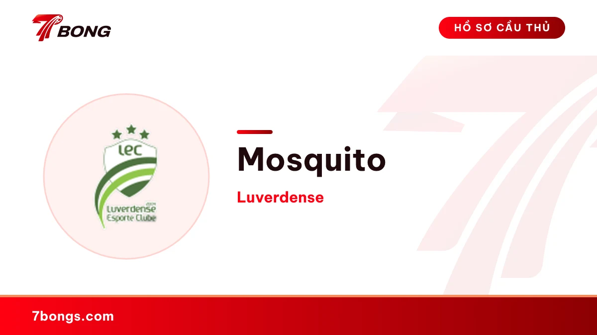 Mosquito — Luverdense
