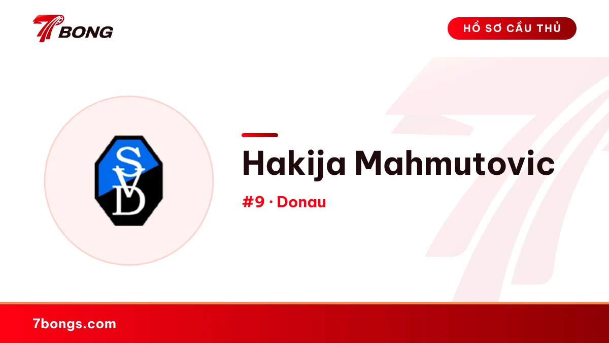 Hakija Mahmutovic — Donau