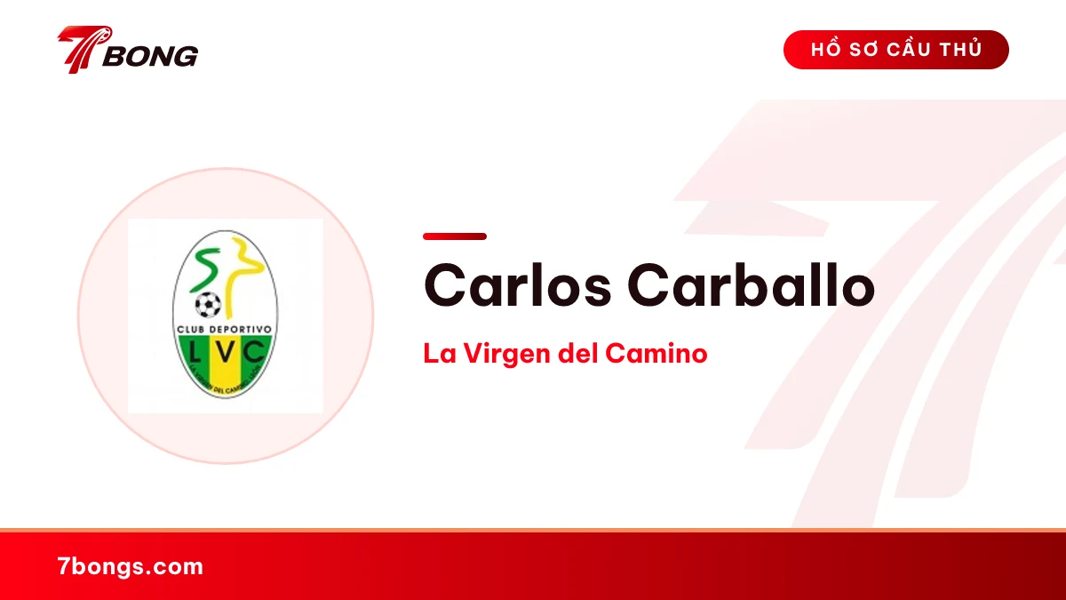 Carlos Carballo — La Virgen del Camino